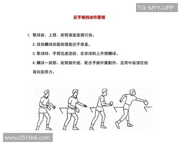 从零基础到高手之路乒乓球节奏与技巧全面解析指南